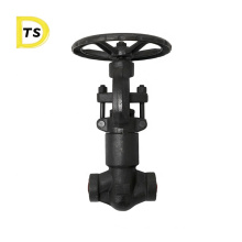 Reliable Quality A105 F304 F316 Forged Self Sealing Globe Valve